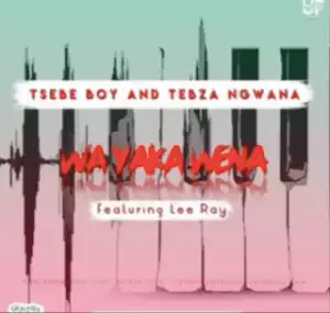 Tsebe Boy - Wa Yaka Wena Ft. Tebza Ngwana